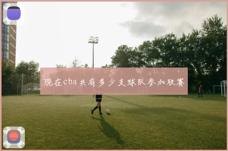 现在cba共有多少支球队参加联赛