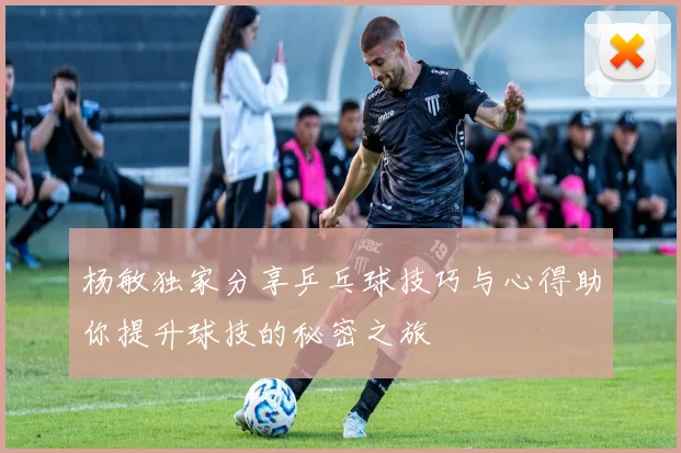 杨敏独家分享乒乓球技巧与心得助你提升球技的秘密之旅
