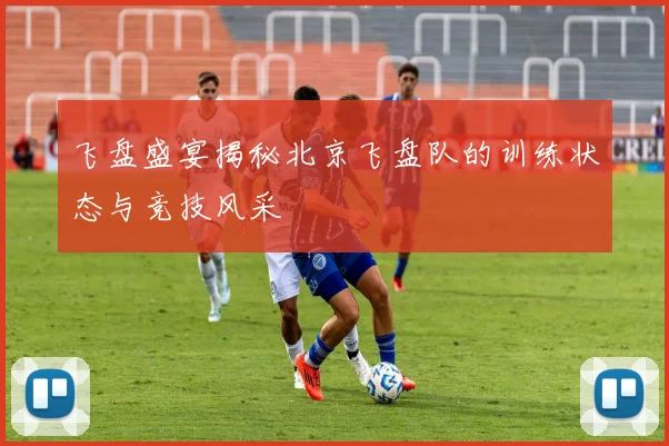 飞盘盛宴揭秘北京飞盘队的训练状态与竞技风采