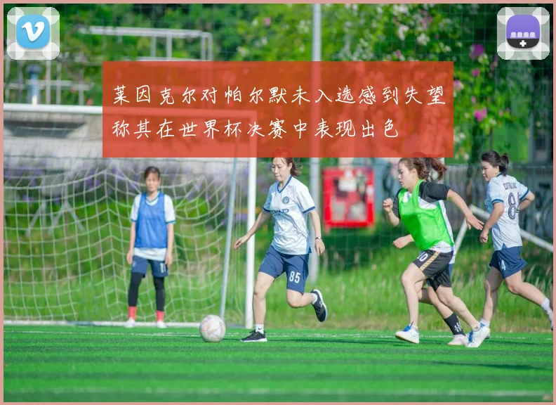 莱因克尔对帕尔默未入选感到失望称其在世界杯决赛中表现出色